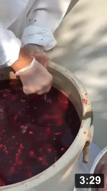 Magic Wand unveiled: What is a Fermenting Wizard’s Magic Wand (and the story
behind it)

Guides
[/the-ferment-farm/posts/categories/guides]
Fermenting
[/the-ferment-farm/posts/categories/fermenting]