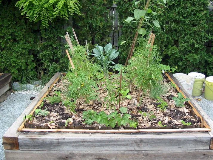 Garden box 3
