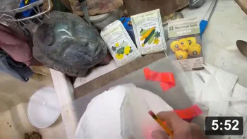 Vlog. 15 Not-too-late Squash n Zucchini Genesis Plate.

Paper towel & tracing paper sandwich plating. Zucchini colours on plate makes
for fun variety!

Four days later getting babies off the plate and into their cribs, just don’t
plant them too deep!

Also no Porn Corn this year. I missed beating my 22 ft record. Just popping corn
and sumkinda sweet stuff.

Planting
[/the-ferment-farm/posts/categories/planting]
Seed Collecting & Starting
[/the-ferment-farm/posts/categories/seed-collecting-and-starting]
Guides
[/the-ferment-farm/posts/categories/guides]