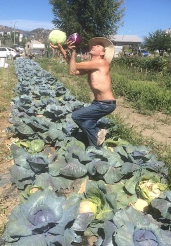 and each and every cabbage is picked in a yoga pose