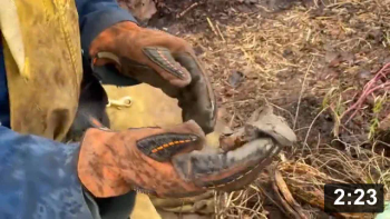Leaf Wrangling & soil development. Thats what life is all about!

Mulch Gardening
[/the-ferment-farm/posts/categories/mulch-gardening]