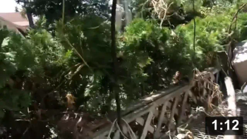 Veggie Porn (Caution: explicit sex scenes (not really))

Plant mating with cucumbers.

Seed Collecting & Starting
[/the-ferment-farm/posts/categories/seed-collecting-and-starting]
Guides
[/the-ferment-farm/posts/categories/guides]
