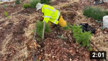 Valleys & Mountains Guide

Guides
[/the-ferment-farm/posts/categories/guides]
Mulch Gardening
[/the-ferment-farm/posts/categories/mulch-gardening]