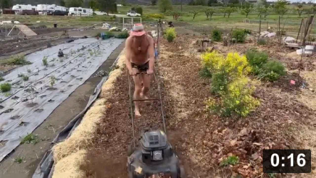 My kinda beach suntanning. Very relaxing. Im special. Chomp Chomp! South
perimeter ready for the green!

Mulch Gardening
[/the-ferment-farm/posts/categories/mulch-gardening]