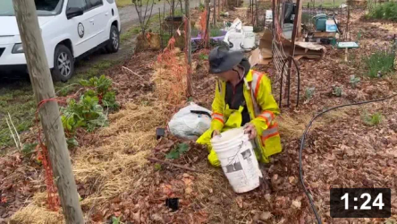 Planting cukes

Mulch Gardening
[/the-ferment-farm/posts/categories/mulch-gardening]
Guides
[/the-ferment-farm/posts/categories/guides]
Planting
[/the-ferment-farm/posts/categories/planting]