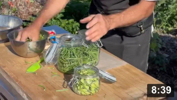Vlog 24 First Ferment Video of the year. Fermenting Garlic Scapes!

Notes:

 * One tablespoon salt in one litre of water makes a 2% brine
 * Natural enzymes in the vegetables, create lactic acid bacteria, thus making
   their own “vinegar” to stay fermented safely. Just gotta keep oxygen away
   from the process.
 * Fido jars make fermenting easy! Salted marbles and quartz crystals are nice
   weights.
 * This is a relatively shorter ferment (can be eaten within a year or so)

IONF
[/the-ferment-farm/posts/categories/ionf]
Guides
[/the-ferment-farm/posts/categories/guides]
Fermenting
[/the-ferment-farm/posts/categories/fermenting]