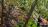Thumbnail 23