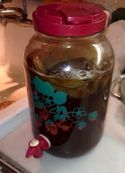 Kombucha Tea