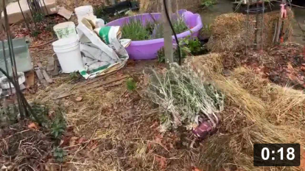 Tomato n PICKLE fence walk

Planting
[/the-ferment-farm/posts/categories/planting]