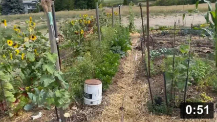 Up-Up And Away! Mexican Xmas trees.

Harvesting
[/the-ferment-farm/posts/categories/harvesting]