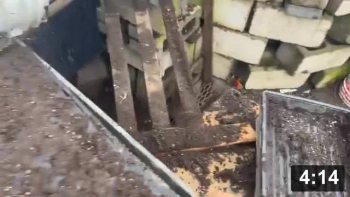 Vlog 5. A peasing in the garden (pea planting).

1.Deep mulch gardening. A winter blanket of food for soil bugs.

Notes:

 * 2 seeds per spot. Place on top of soil and put muck over tops.
 * There is magic all around us. Look for it. When you are balancing through
   life, stay on the beam. Exact measurements tell you when you are perfectly on
   the balancing beam.
 * Newspaper helps hold in moisture whilst genesis occurs in the greenhouse.
 * Just in the mail, Malabar spinach seeds. Crazy vines grow over 10 ft, with
   gorgeous red stalks, thick red/green leafs n fun tiny grape like flower
   pod/seeds. A wonderful seed company. Stuffed package with love.

Mulch Gardening
[/the-ferment-farm/posts/categories/mulch-gardening]
Planting
[/the-ferment-farm/posts/categories/planting]
Guides
[/the-ferment-farm/posts/categories/guides]