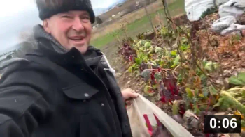 Dec 1, pickin chard!

Harvesting
[/the-ferment-farm/posts/categories/harvesting]