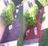 Thumbnail 24
