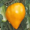 Orange Strawberry