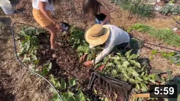 Ferment Farm visit No.16: Gardening into the future: Kale, Carrots, & KIDS!

Harvesting
[/the-ferment-farm/posts/categories/harvesting]
Planting
[/the-ferment-farm/posts/categories/planting]