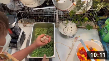 Making tomato sauce to store (wearing mask due to smoke).

Ingredients:

 * Tomatoes
 * Herbs (Basil, dill, rosemary, chives, parsely, oregano)
 * Celery
 * Bulbils (garlic seeds)

Guides
[/the-ferment-farm/posts/categories/guides]
Food Processing & Cooking
[/the-ferment-farm/posts/categories/food-processing-and-cooking]
Harvesting
[/the-ferment-farm/posts/categories/harvesting]