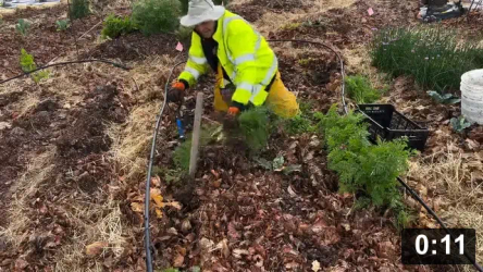 April carrots!

Harvesting
[/the-ferment-farm/posts/categories/harvesting]