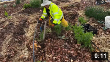 April carrots!

Harvesting
[/the-ferment-farm/posts/categories/harvesting]
