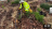 Thumbnail 87