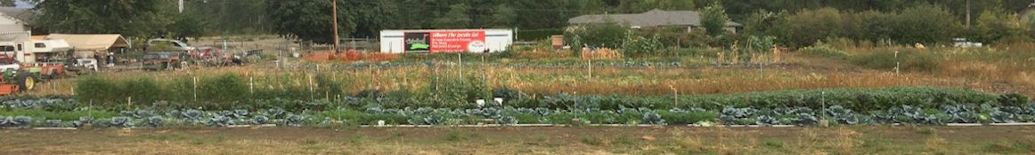 Ferment Field