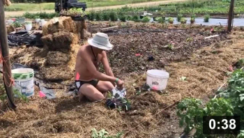 Got my longest day of tanning in! Winters coming!!!

Planting
[/the-ferment-farm/posts/categories/planting]