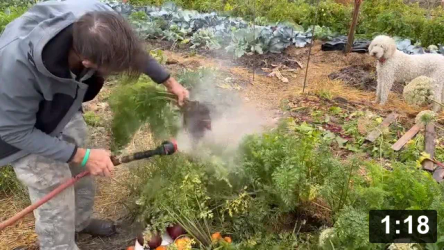 Im to sexy for my bed (garden, that is!)

Harvesting
[/the-ferment-farm/posts/categories/harvesting]