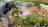 Thumbnail 155