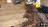 Thumbnail 29