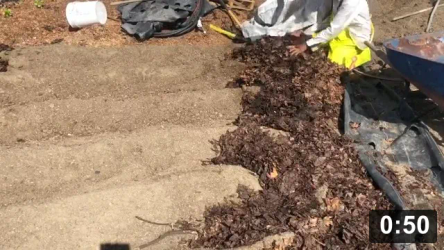 “I am Groot”

Mulch Gardening
[/the-ferment-farm/posts/categories/mulch-gardening]
